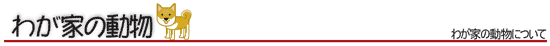 わが家の動物
