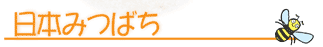 日本ミツバチ